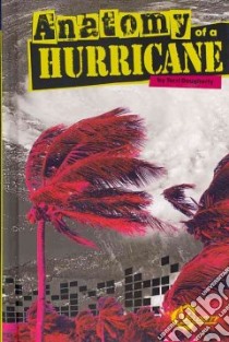 Anatomy of a Hurricane libro in lingua di Dougherty Terri