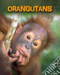 Orangutans libro in lingua di Silverman Buffy