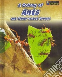 A Colony of Ants and Other Insect Groups libro in lingua di Claybourne Anna