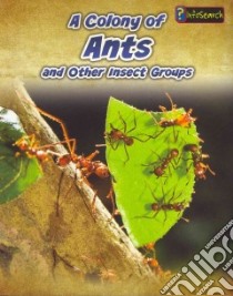 A Colony of Ants libro in lingua di Claybourne Anna