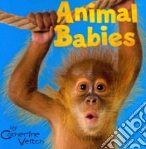 Animal Babies libro in lingua di Veitch Catherine