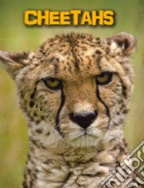 Cheetahs libro in lingua di Guillain Charlotte