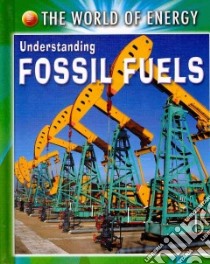 Understanding Fossil Fuels libro in lingua di Goodman Polly