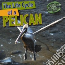 The Life Cycle of a Pelican libro in lingua di Kingston Anna