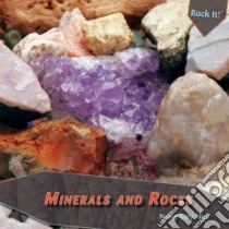 Minerals and Rocks libro in lingua di Allen Nancy Kelly
