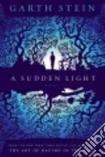 A Sudden Light libro in lingua di Stein Garth