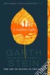 A Sudden Light libro in lingua di Stein Garth