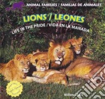 Lions / Leones libro in lingua di Clark Willow