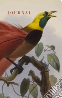 Bird libro in lingua di American Museum of Natural History (COR)