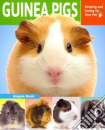 Guinea Pigs libro in lingua di Beck Angela