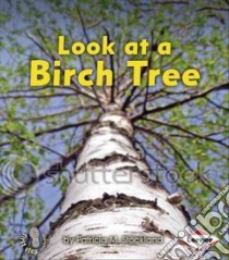 Look at a Birch Tree libro in lingua di Stockland Patricia M.