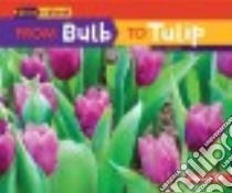 From Bulb to Tulip libro in lingua di Owings Lisa