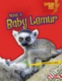 Meet a Baby Lemur libro in lingua di Bell Samantha S.