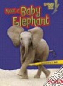 Meet a Baby Elephant libro in lingua di Bell Samantha S.