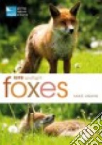 Foxes libro in lingua di Unwin Mike