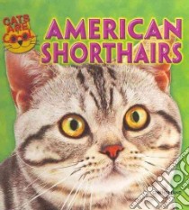 American Shorthairs libro in lingua di Holland Gini