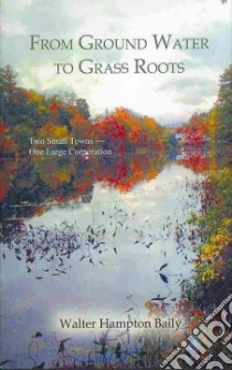 From Ground Water to Grass Roots libro in lingua di Baily Walter
