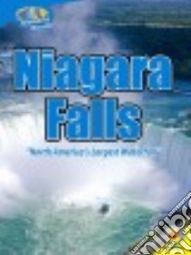 Niagara Falls libro in lingua di Goldsworthy Steve