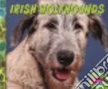 Irish Wolfhounds libro in lingua di Morey Allan