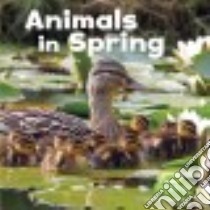 Animals in Spring libro in lingua di Clay Kathryn