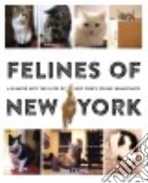Felines of New York libro in lingua di Tews Jim