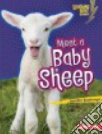 Meet a Baby Sheep libro in lingua di Boothroyd Jennifer
