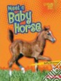 Meet a Baby Horse libro in lingua di Silverman Buffy