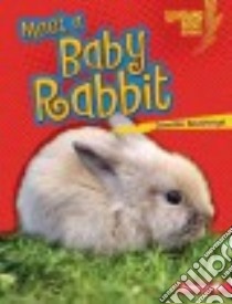 Meet a Baby Rabbit libro in lingua di Boothroyd Jennifer