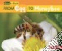 From Egg to Honeybee libro in lingua di Owings Lisa
