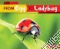 From Egg to Ladybug libro in lingua di Owings Lisa