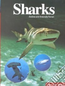 Sharks libro in lingua di Ferrari Andrea, Bennett Anna (TRN), Perrine Doug (FRW)