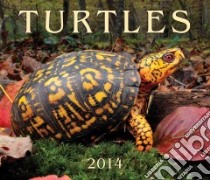 Turtles 2014 Calendar libro in lingua di Firefly Books (COR)