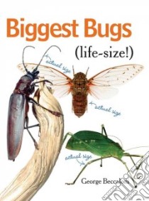 Biggest Bugs Life-size libro in lingua di Beccaloni George