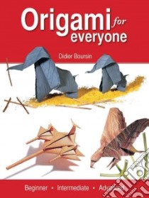 Origami for Everyone libro in lingua di Boursin Didier
