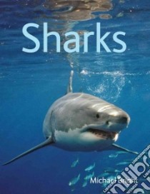 Sharks libro in lingua di Bright Michael