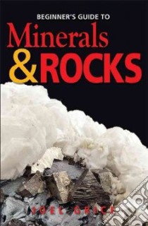 Beginner's Guide to Minerals & Rocks libro in lingua di Grice Joel Dr., Johnsen Ole (PHT)