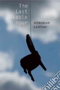 The Last Usable Hour libro in lingua di Landau Deborah