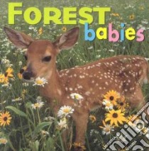 Forest Babies libro in lingua di McCurry Kristen, Northword Press (COR), Jackson Aimee