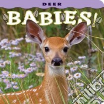Deer Babies libro in lingua di Jones Donald M. (PHT)