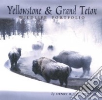 Yellowstone & Grand Teton Wildlife Portfolio libro in lingua di Holdsworth Henry H. (PHT)
