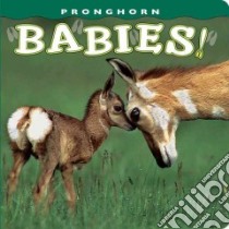 Pronghorn Babies! libro in lingua di Kettlewell Dick (PHT)