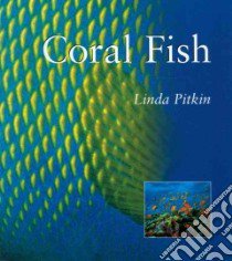 Coral Fish libro in lingua di Pitkin Linda