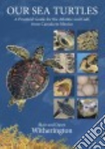 Our Sea Turtles libro in lingua di Witherington Blair, Witherington Dawn