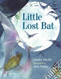 Little Lost Bat libro in lingua di Markle Sandra, Marks Alan (ILT)