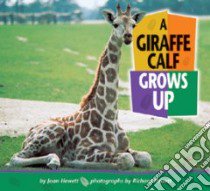 A Giraffe Calf Grows Up libro in lingua di Hewett Joan, Hewett Richard (ILT)