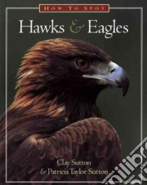 How to Spot Hawks & Eagles libro in lingua di Sutton Clay, Sutton Patricia Taylor