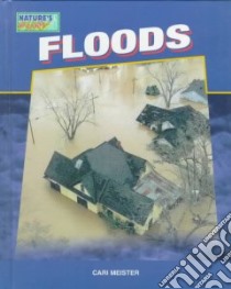 Floods libro in lingua di Meister Cari