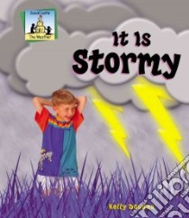 It Is Stormy libro in lingua di Doudna Kelly
