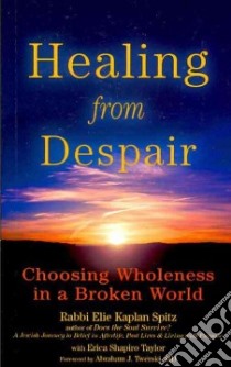 Healing from Despair libro in lingua di Spitz Elie Kaplan, Taylor Erica Shapiro, Twerski Abraham J. (FRW)