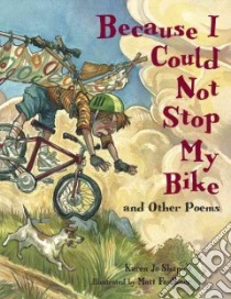 Because I Could Not Stop My Bike libro in lingua di Shapiro Karen Jo, Faulkner Matt (ILT)